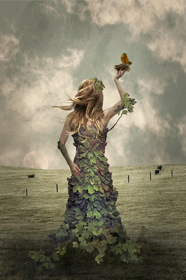 Dryad4_600px_72.jpg
