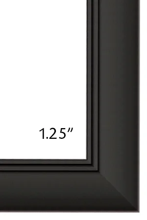 LagunaNarrowFrame78898.jpg