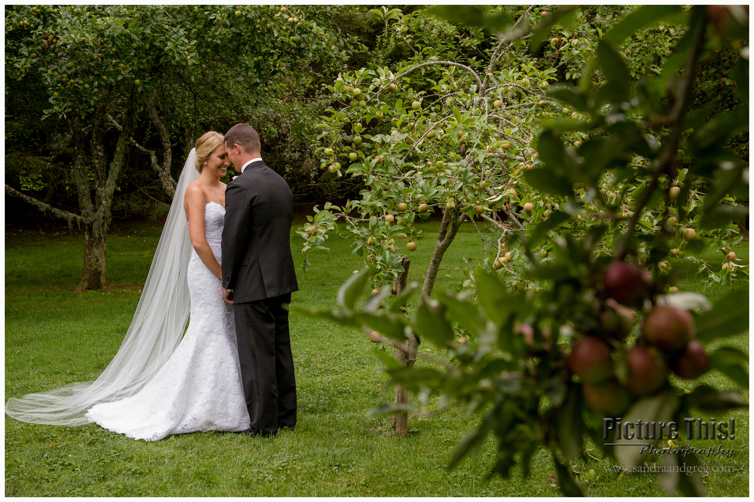 Chelsey & Tom at The Farm at Old Edwards Inn