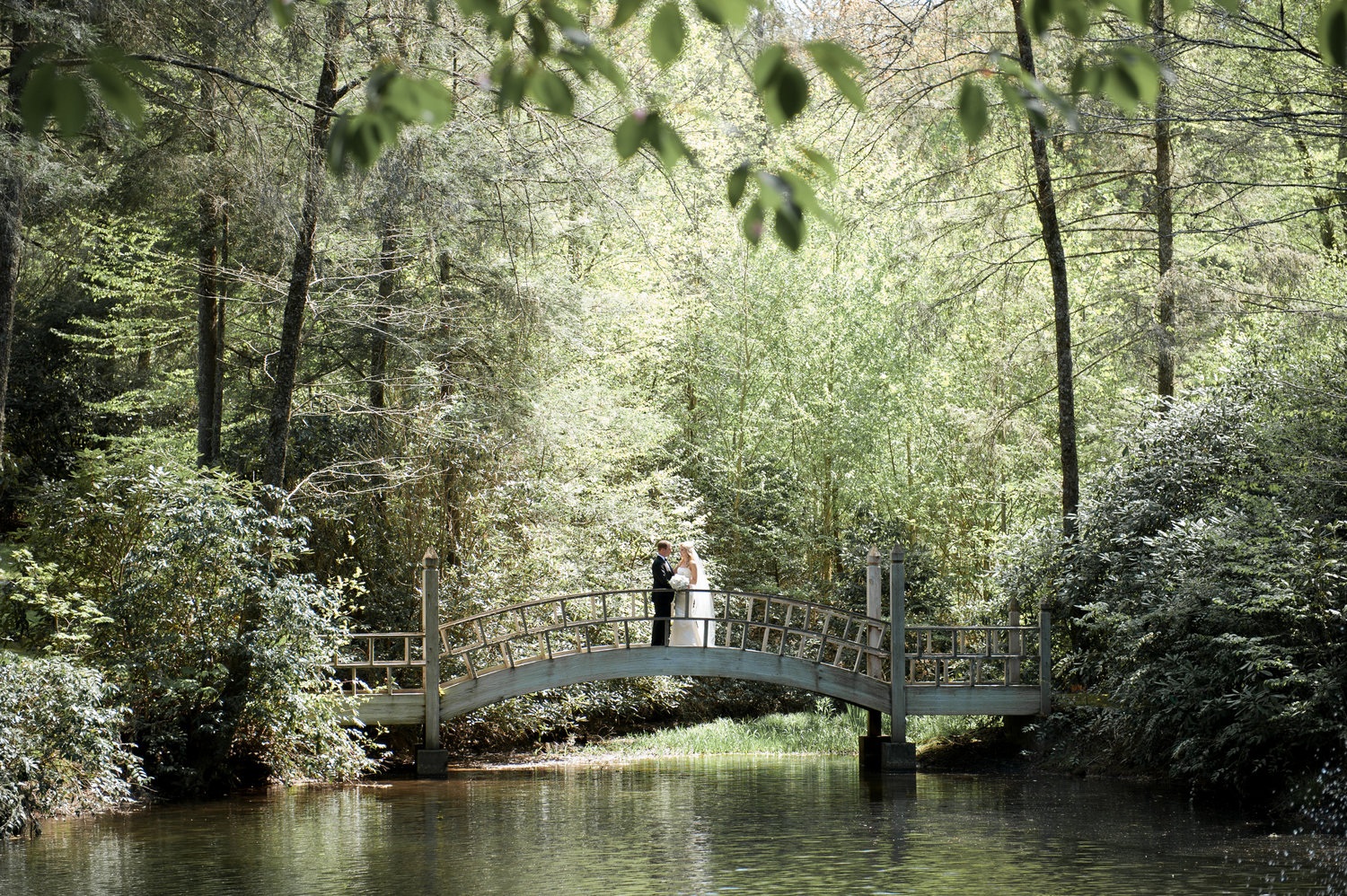 Eva &amp; Austin in Highlands, NC