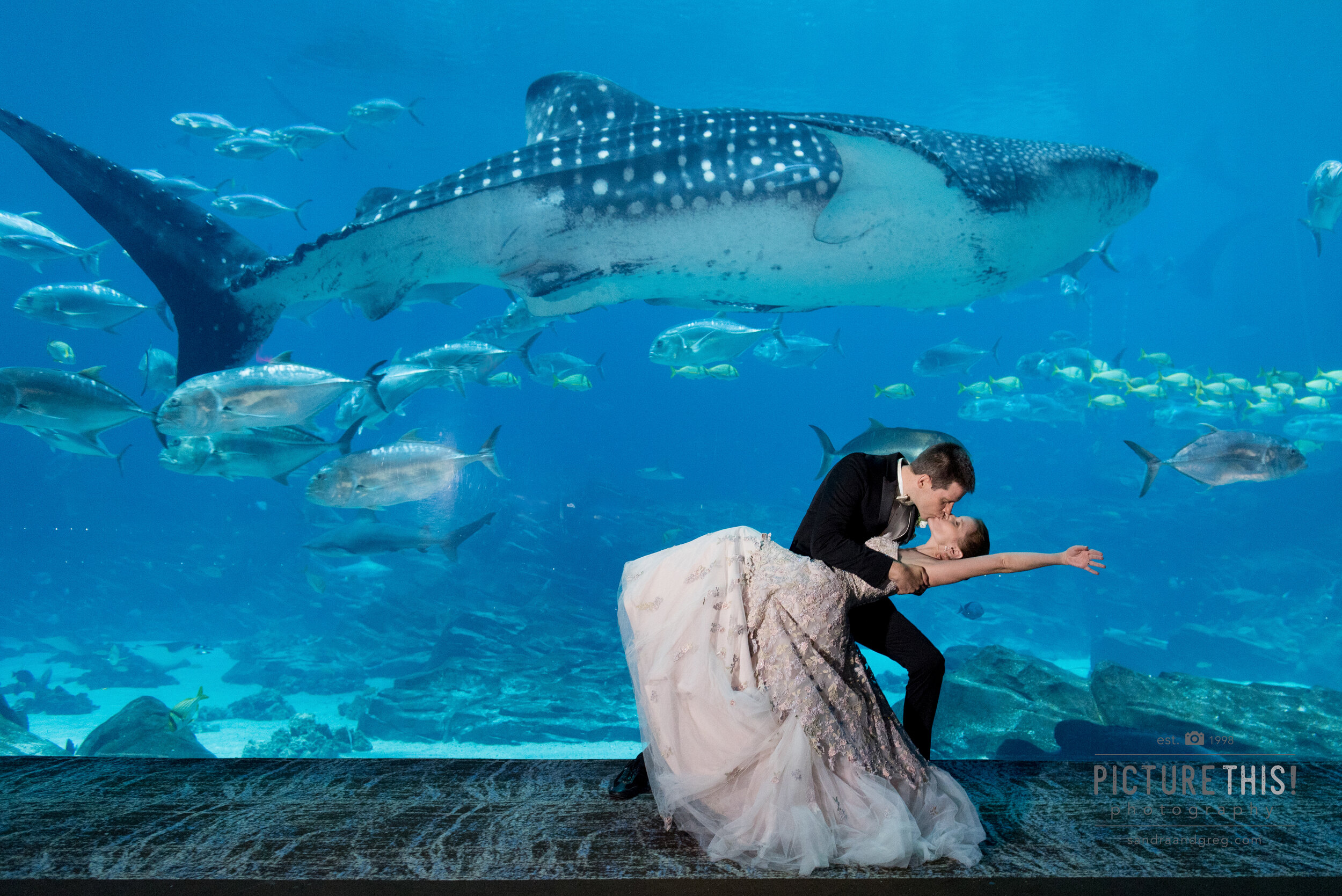 Stephanie &amp; Grant at the Georgia Aquarium