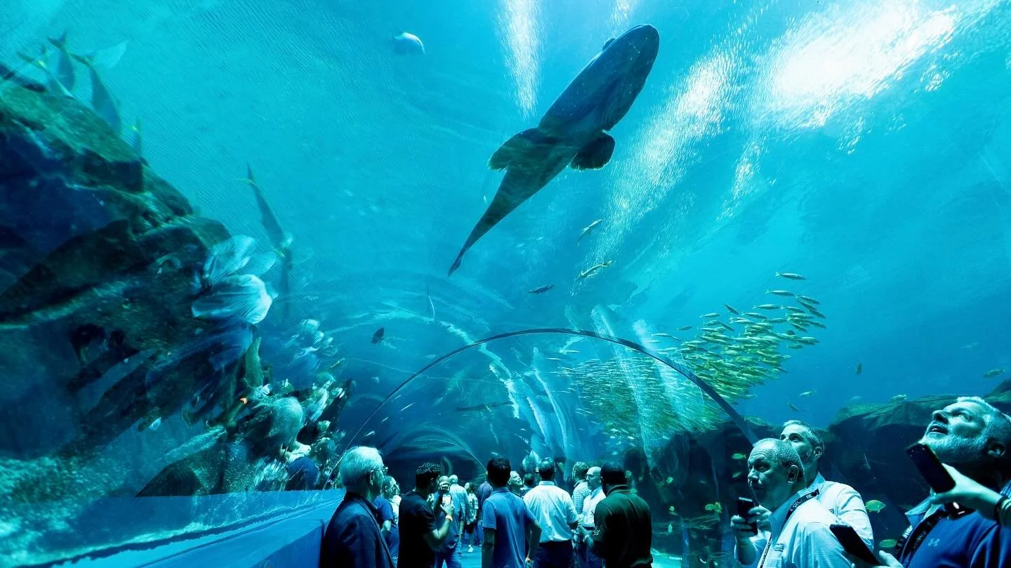 Last week&rsquo;s NECX 2025 conference concluded with a night at the Georgia Aquarium! Attendees had full access to the entire aquarium, plus a custom souvenir conference tee shirt maker on site.