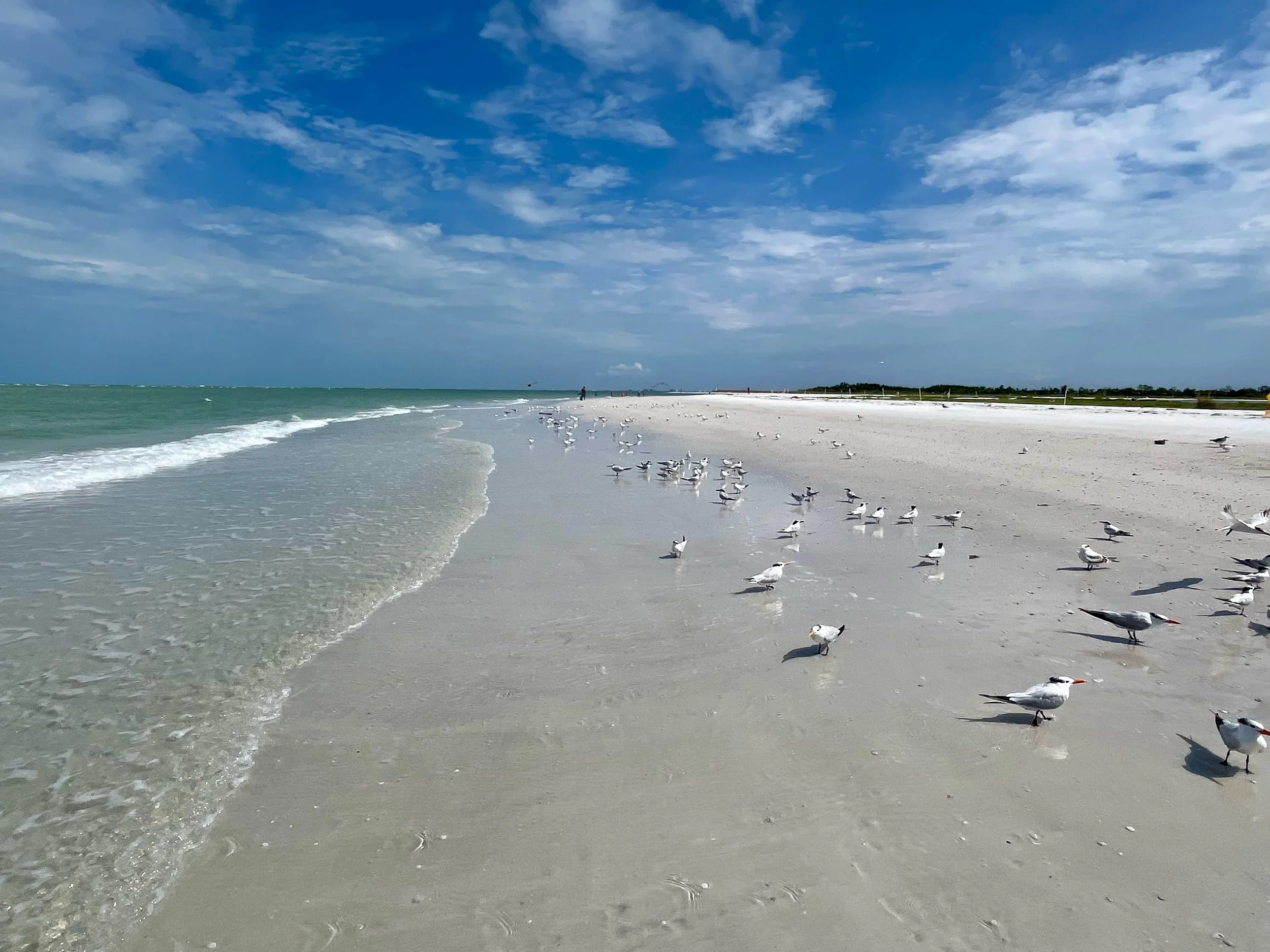 We promise we haven&rsquo;t disappeared. 👻
We&rsquo;ve been on our annual summer hiatus, conducting some very important beach research, and are heading back to ATL soon. Our cameras will be back in action next week and we&rsquo;re looking forward to
