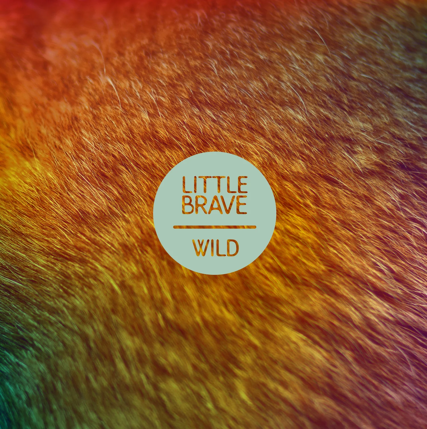Little Brave - "Wild"