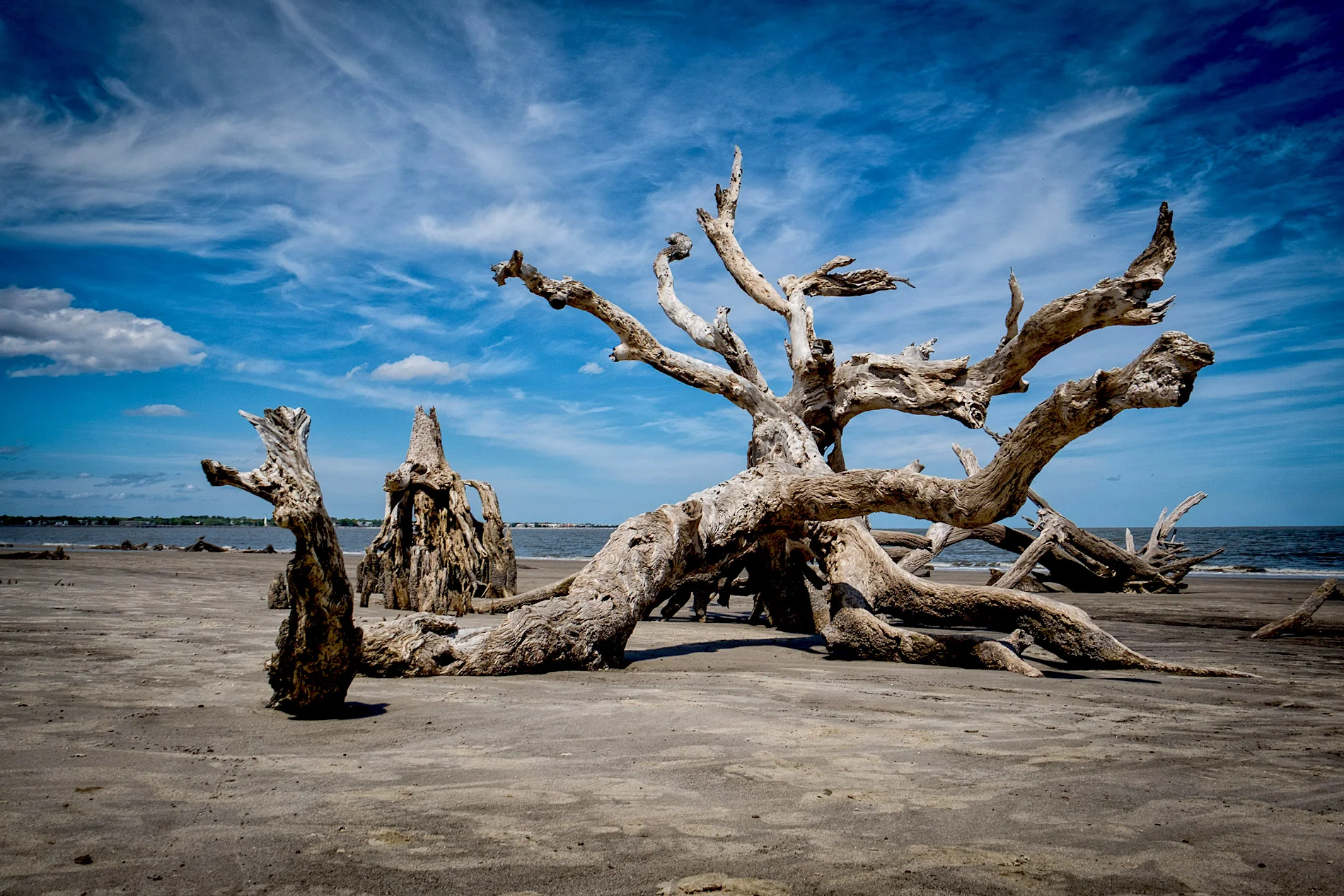 Driftwood Rumble