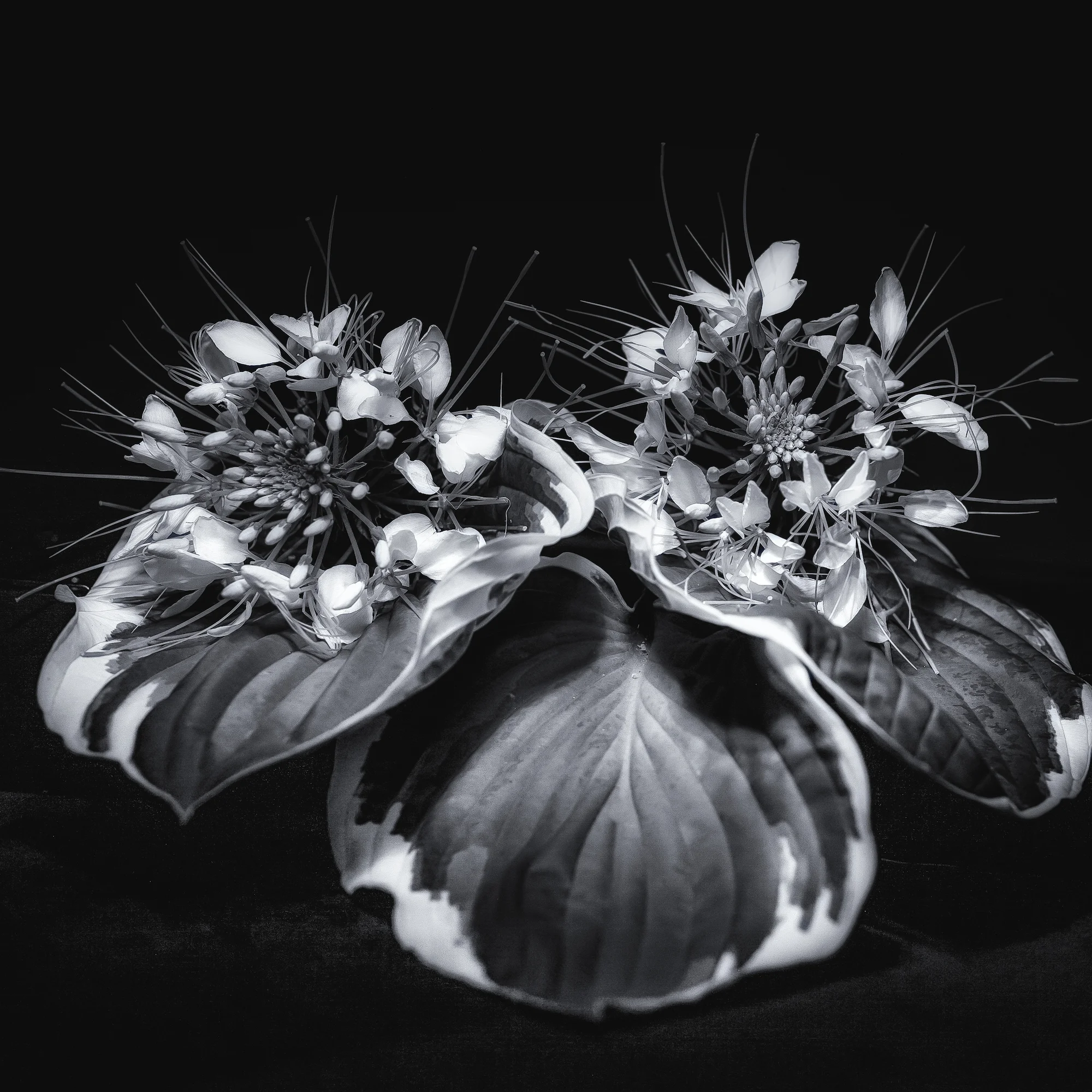 Lightpainting in darkness copy.jpg