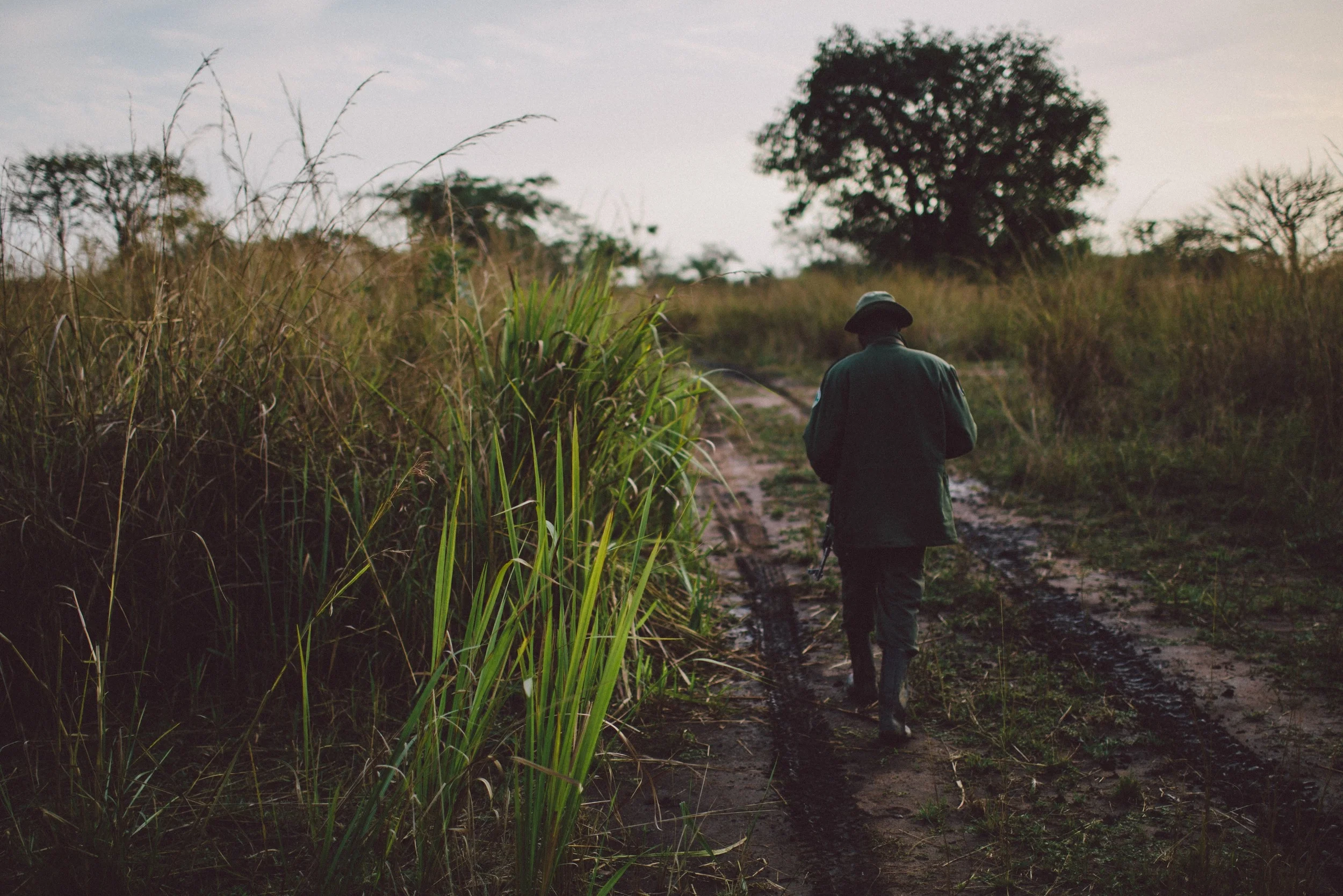 Garamba National Park, DRC