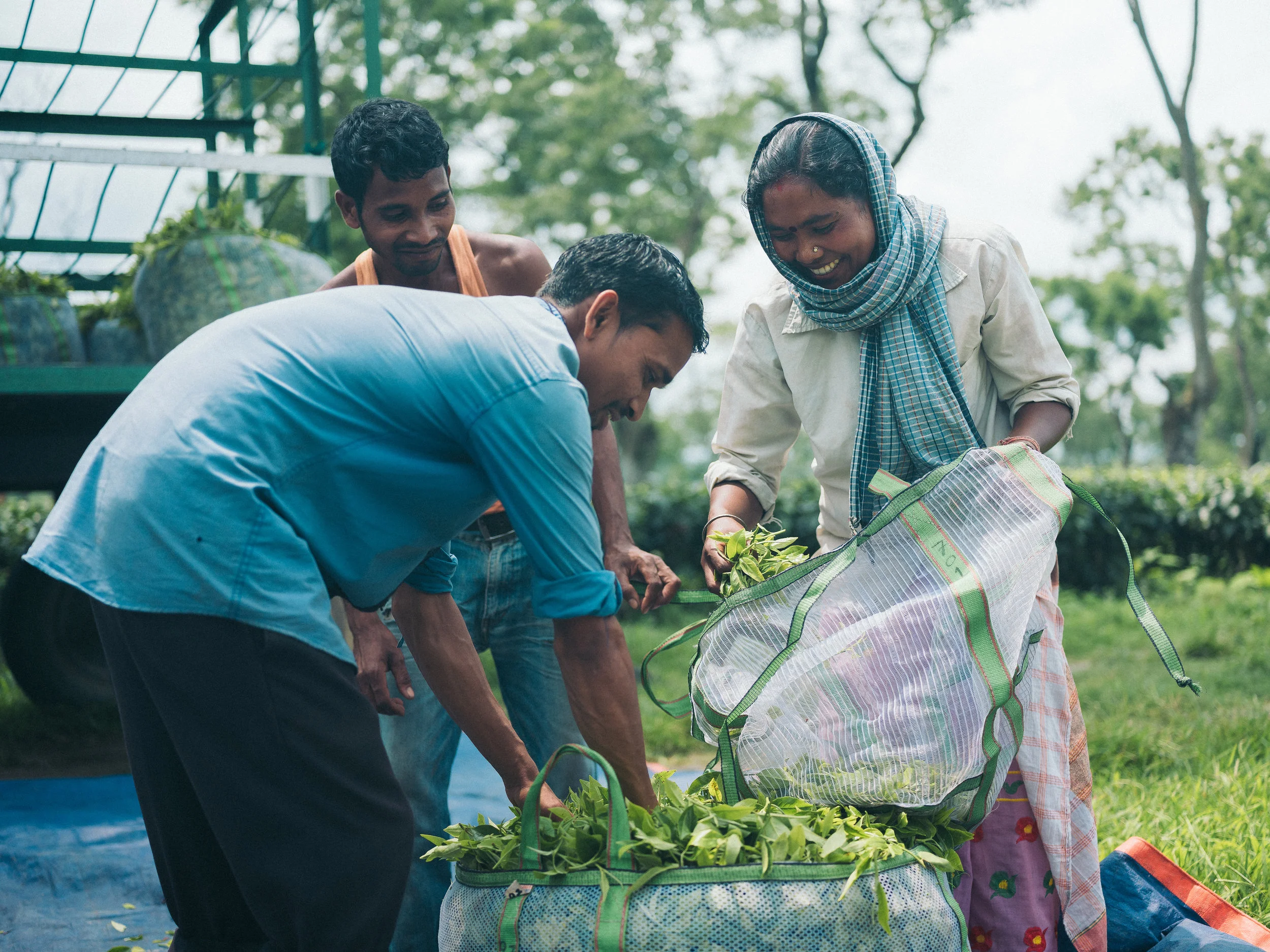 Honest Tea_Assam-80.jpg