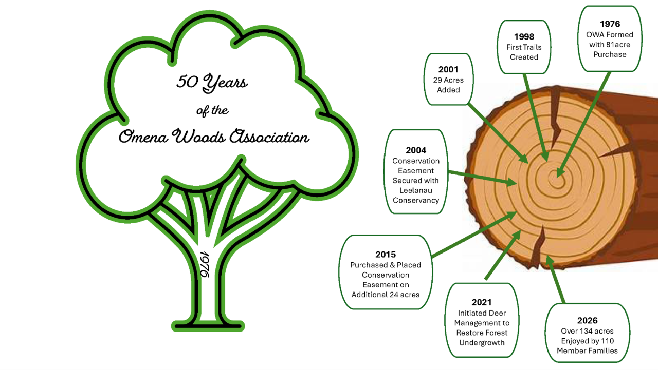 50th OWA Graphic - 1500 px wide.png