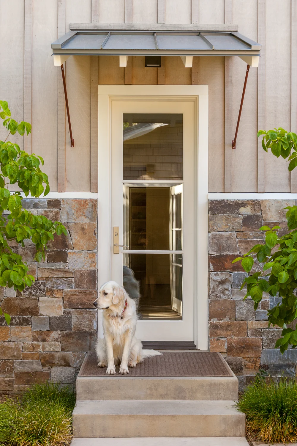 Starry in her Atherton garden at the backdoor. - Arterra Landscape architecture