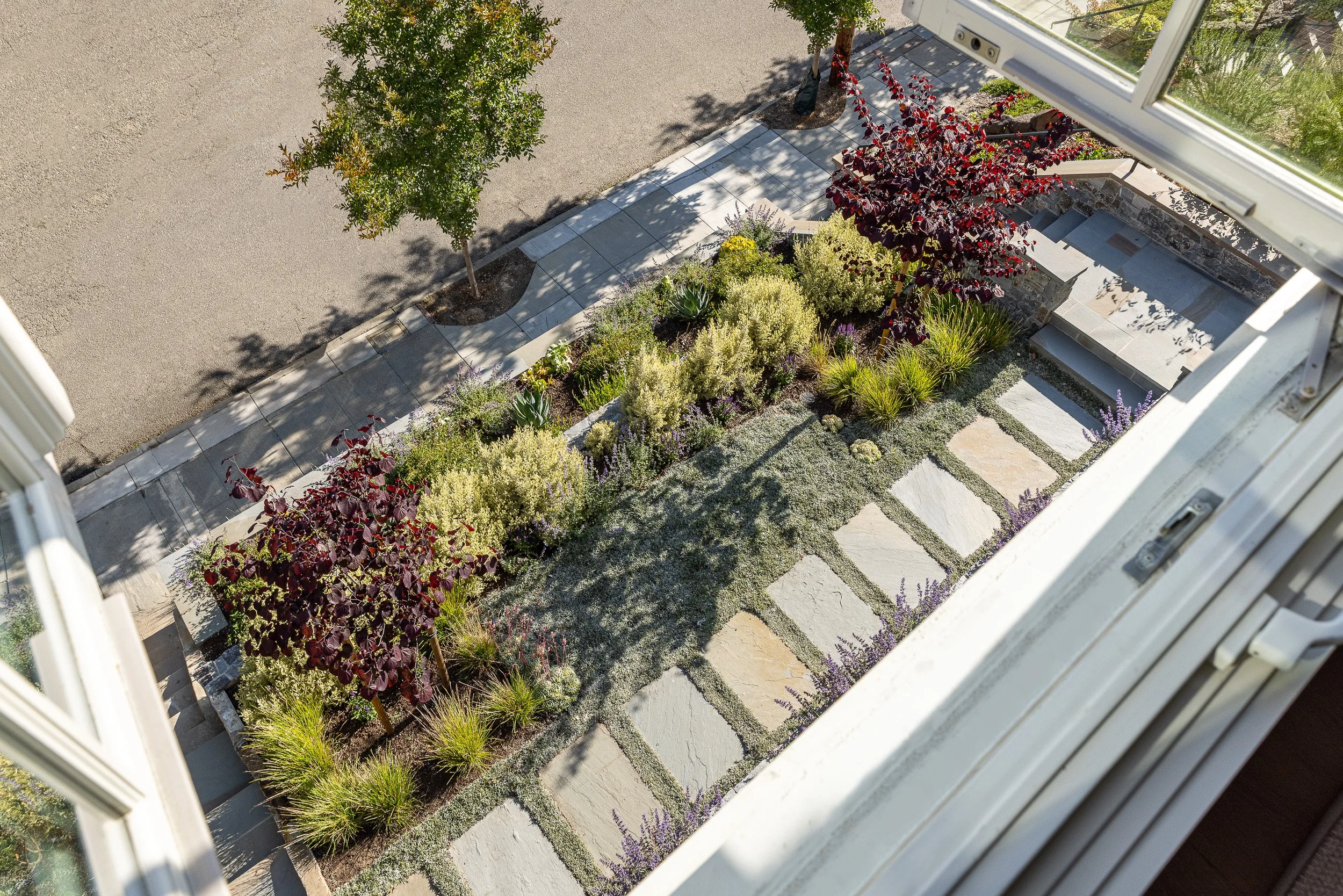 Aerial garden shot by Lazar Landscape Design and Construction
