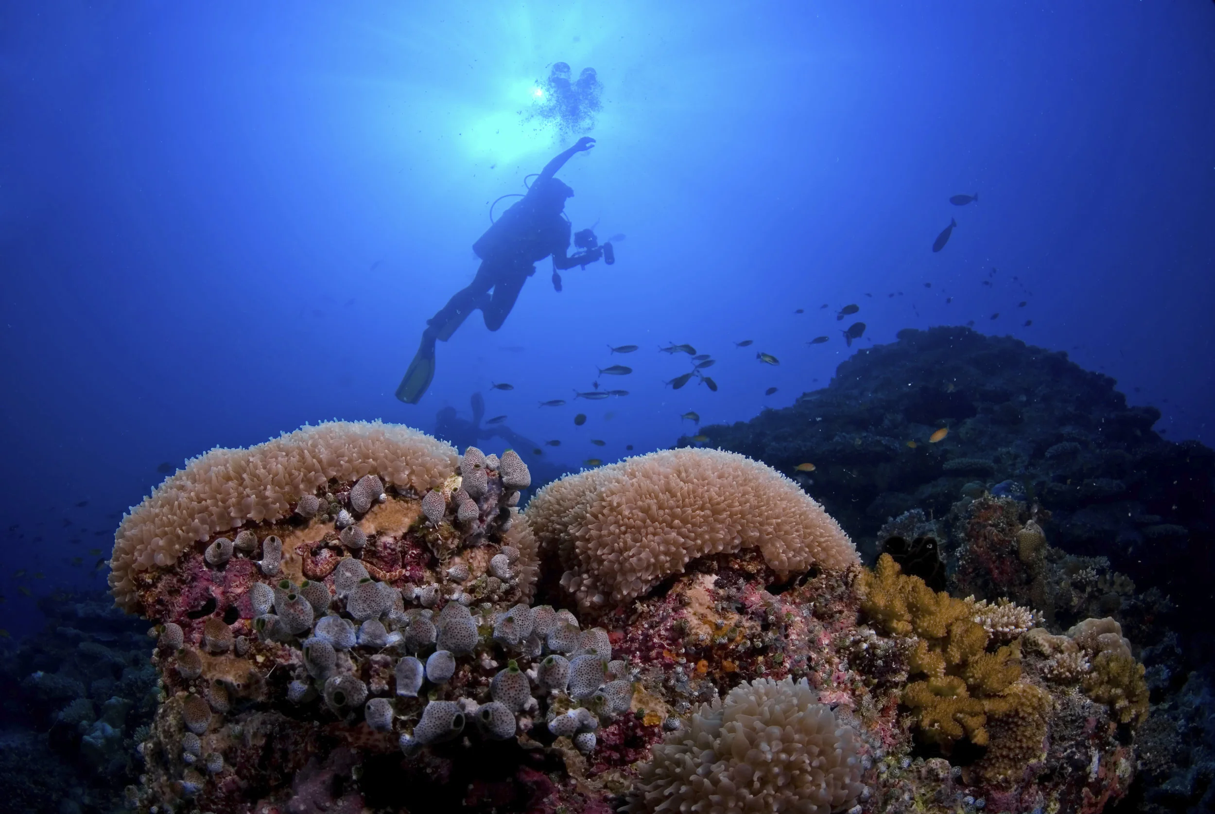 iStock_000003886542_Large.jpg