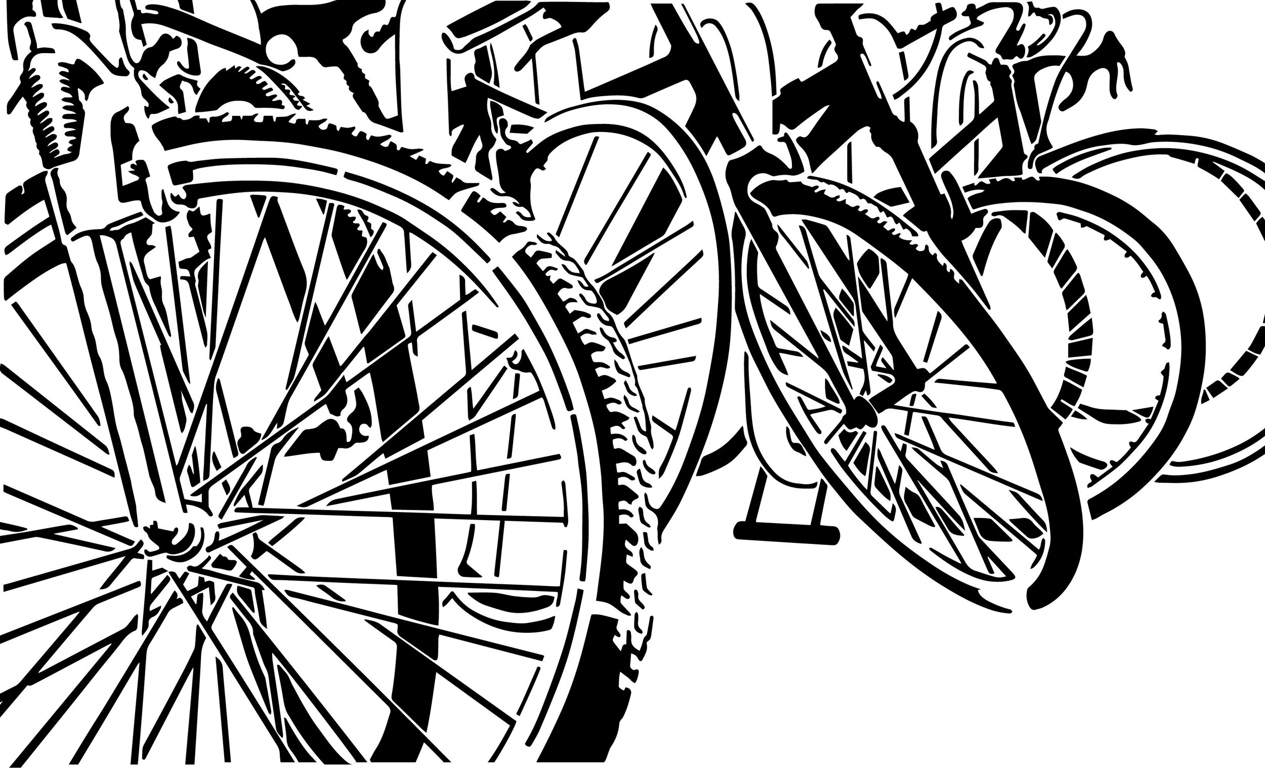 5.bikes.jpg