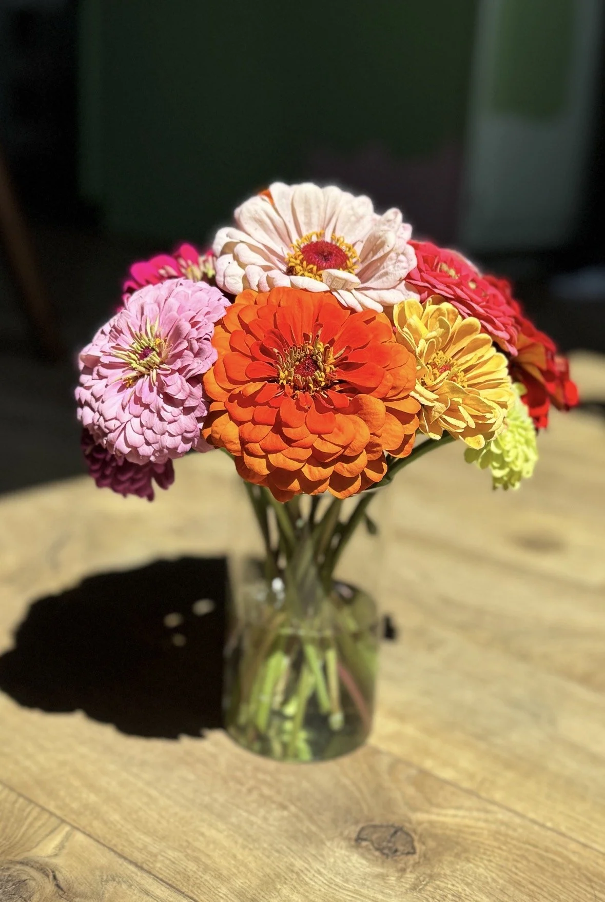 zinnias.jpg