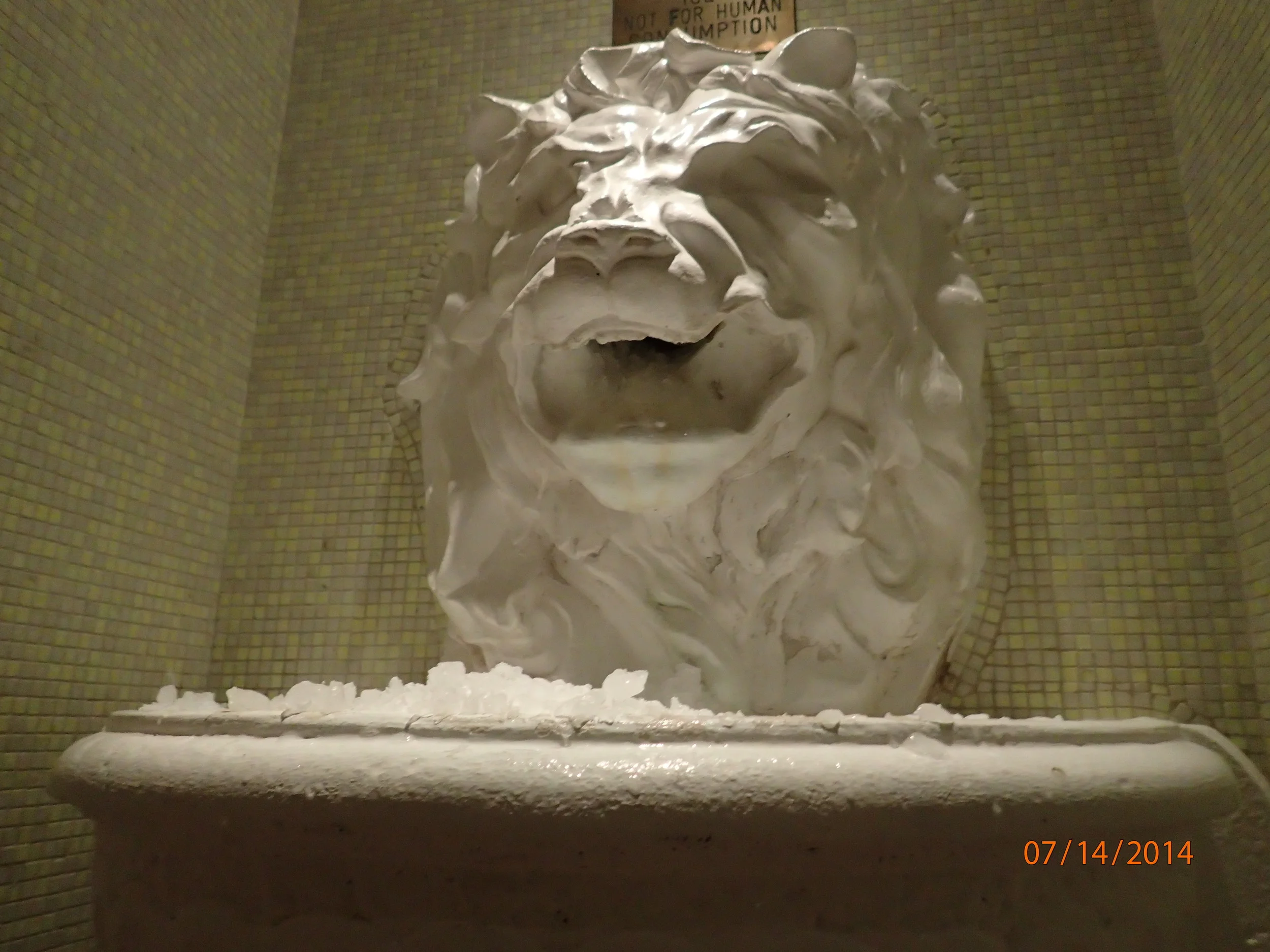 We saw a lion shaved ice machine, and used it.