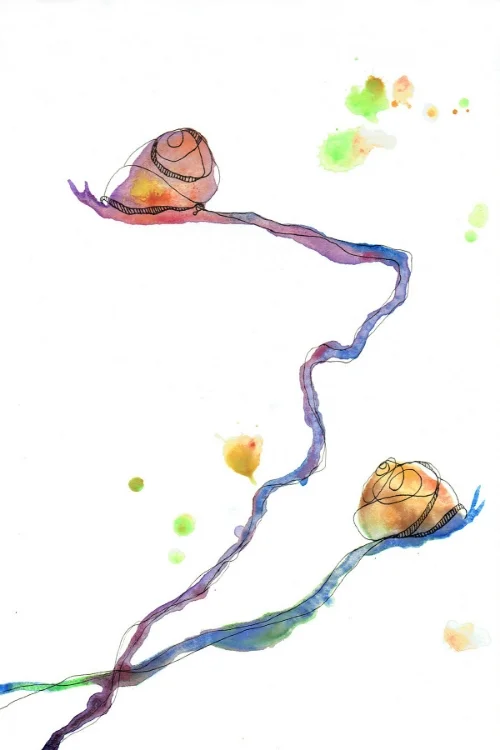 snails.jpg