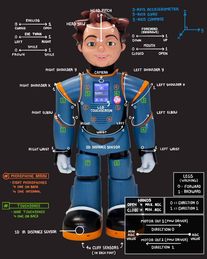 The Art of Robotics with Robokind