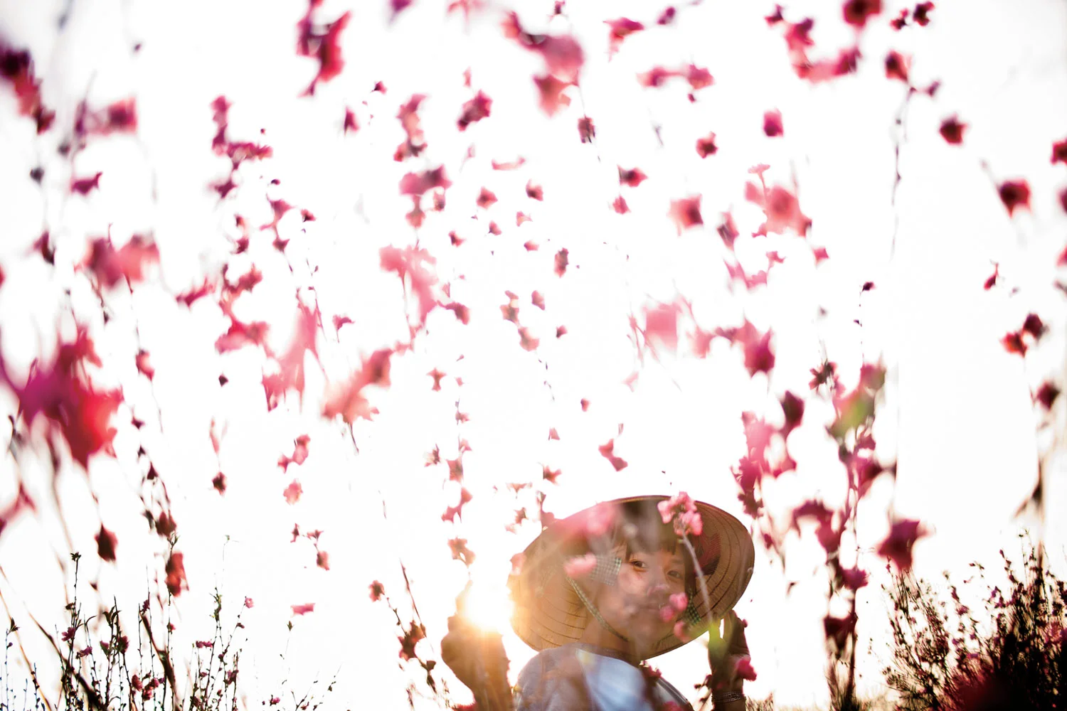Photo by Aaron Joel Santos