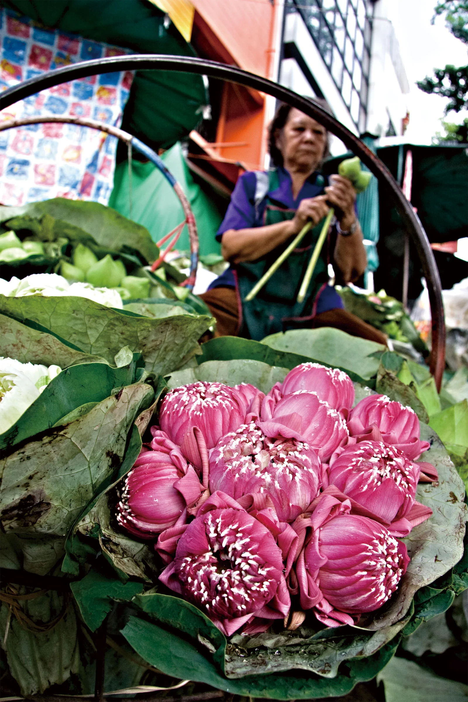 Photo by Rattapon Teanchai