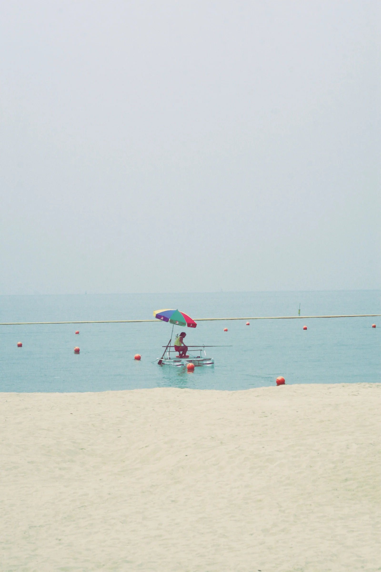 Photo by Elizabeth Briel