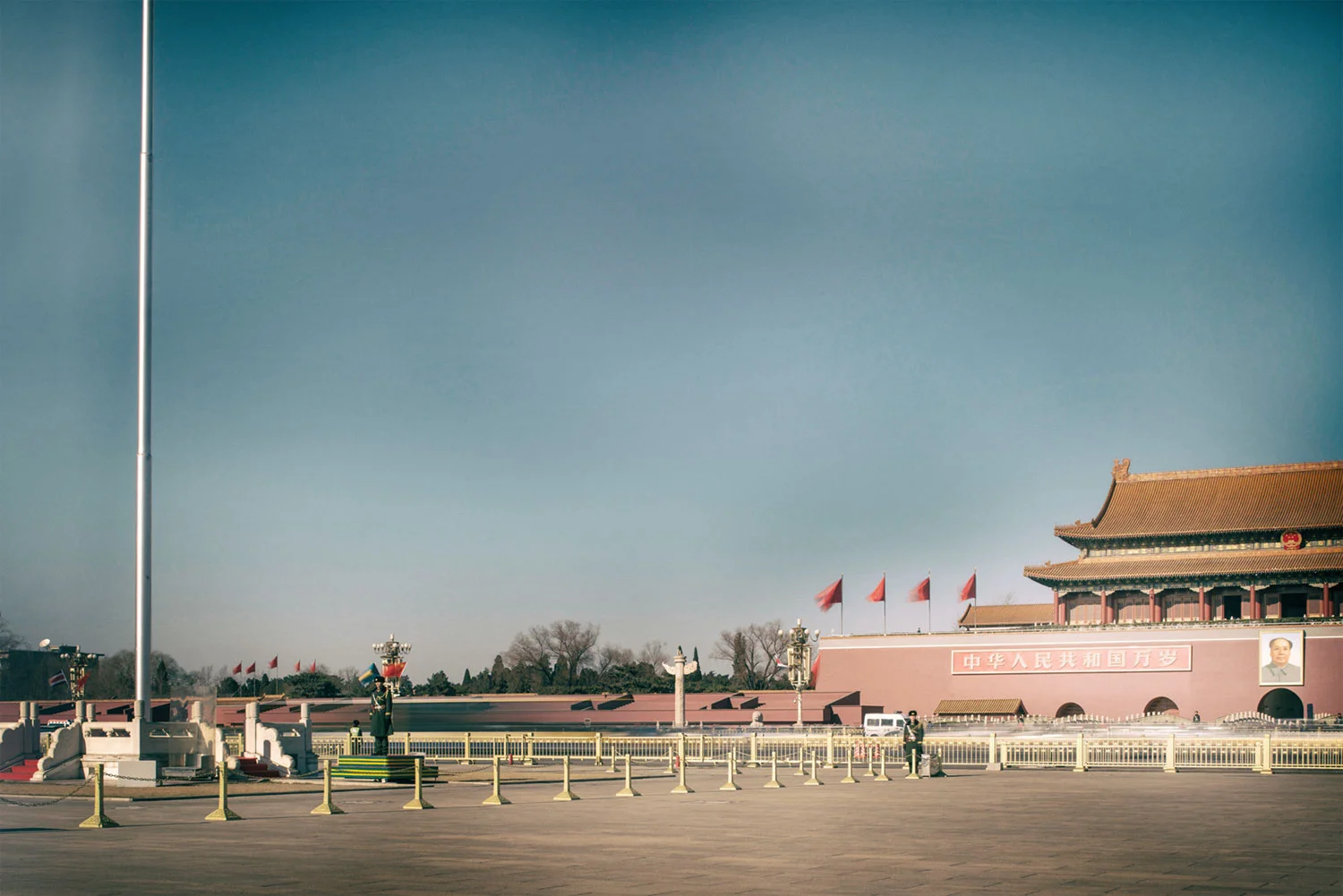 Photo by Stefen Chow