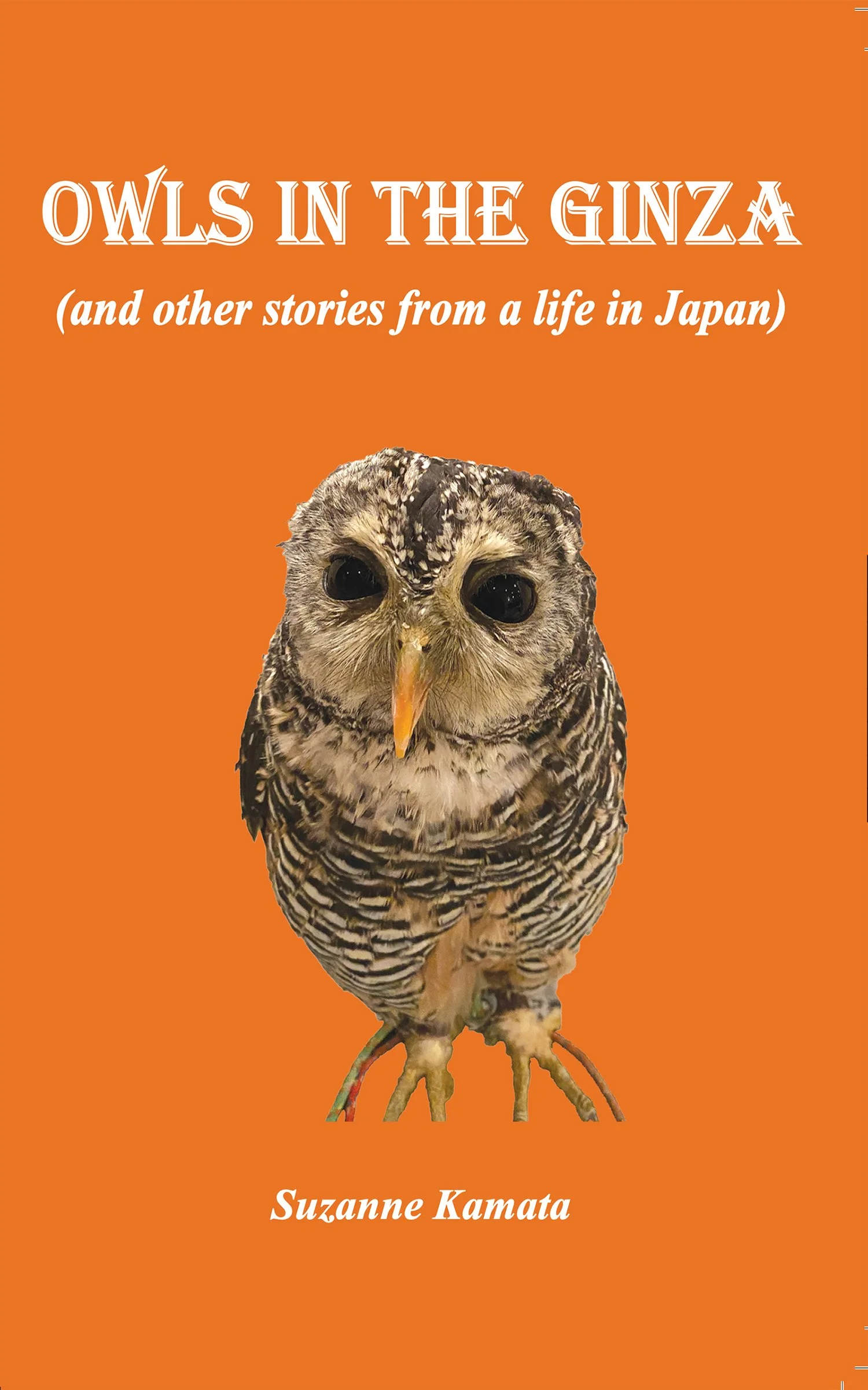 Owls in the Ginza