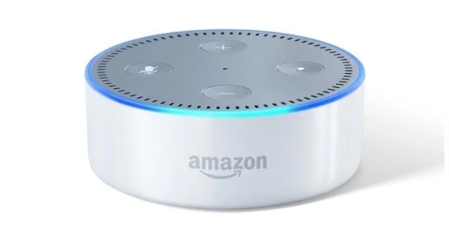 I gave Geoff an Echo Dot for Christmas. We are now Alexa fans.
