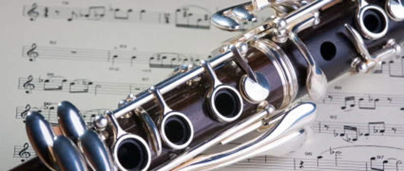 I loved band at Kenmore Junior High. In high school, my lack of practicing caught up with me and I ended up carrying a tuba in marching band, because I wasn't that good on my clarinet. 