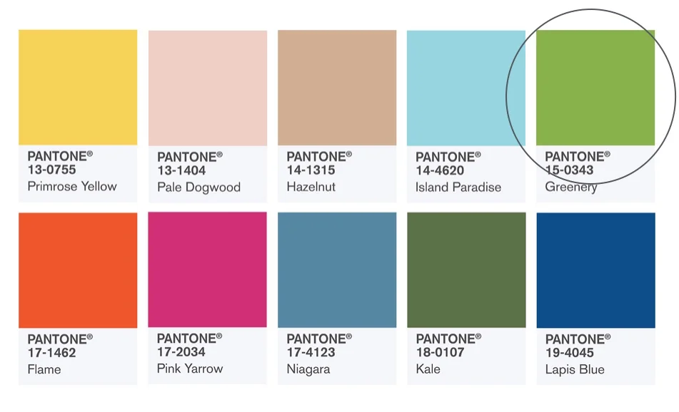 These colors constitute the Fashion Color Report for Spring 2017. It is a mix of vitality, relaxation and the great outdoors. 
