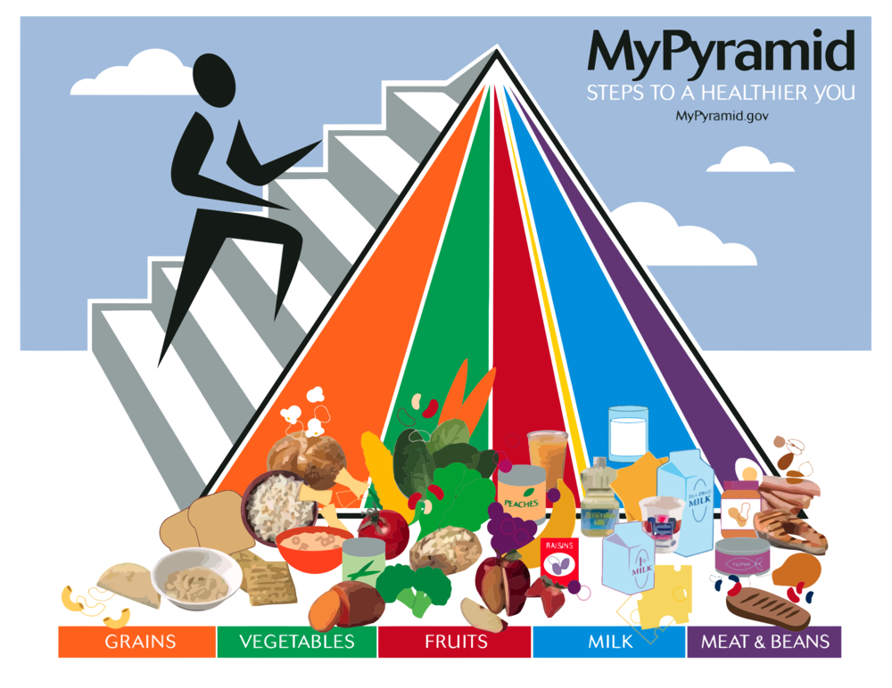 Like me, you may have grown up with the food pyramid. I’ve learned that while well-intended it’s recommendations are flawed. Learn more HERE.