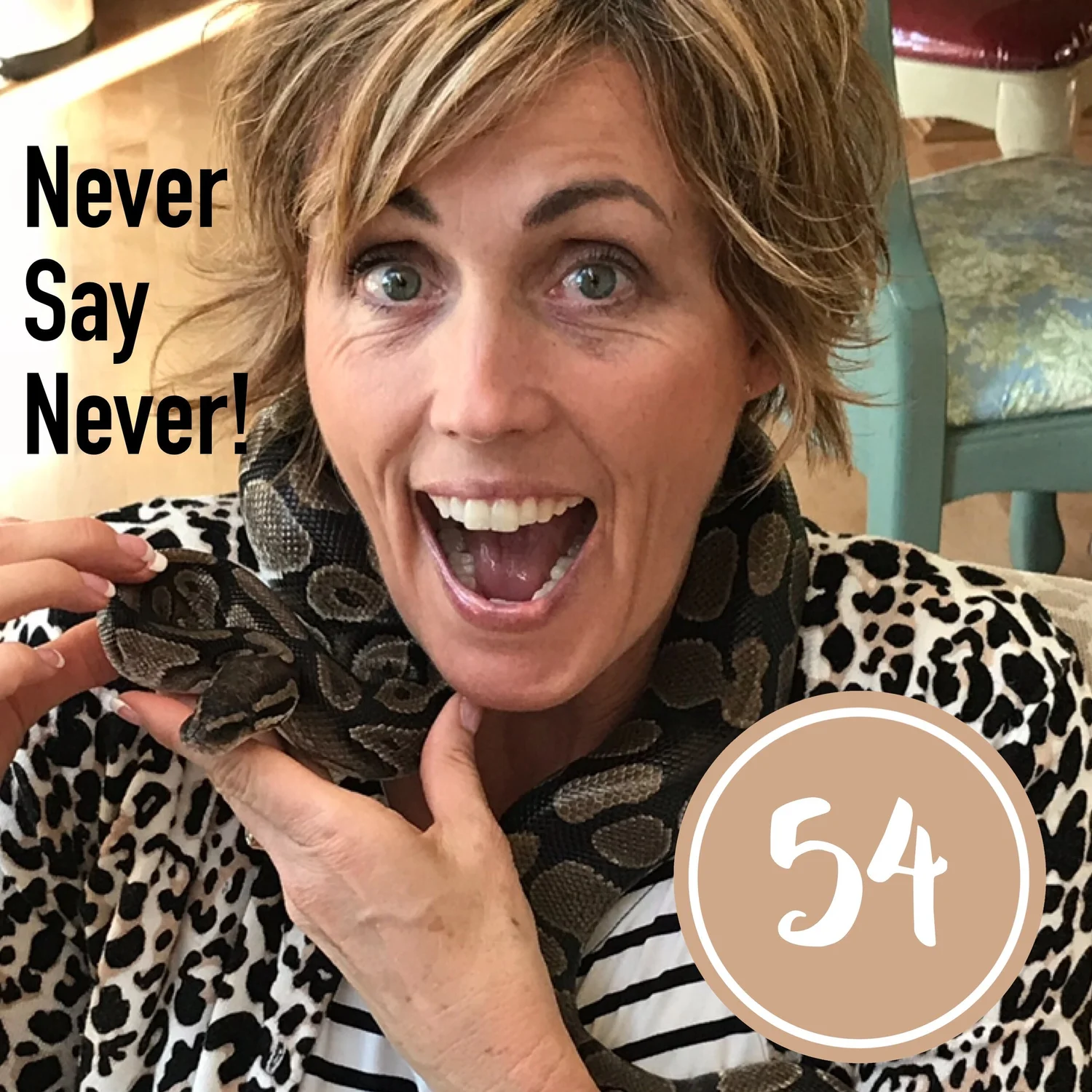 Never Say Never episode artwork