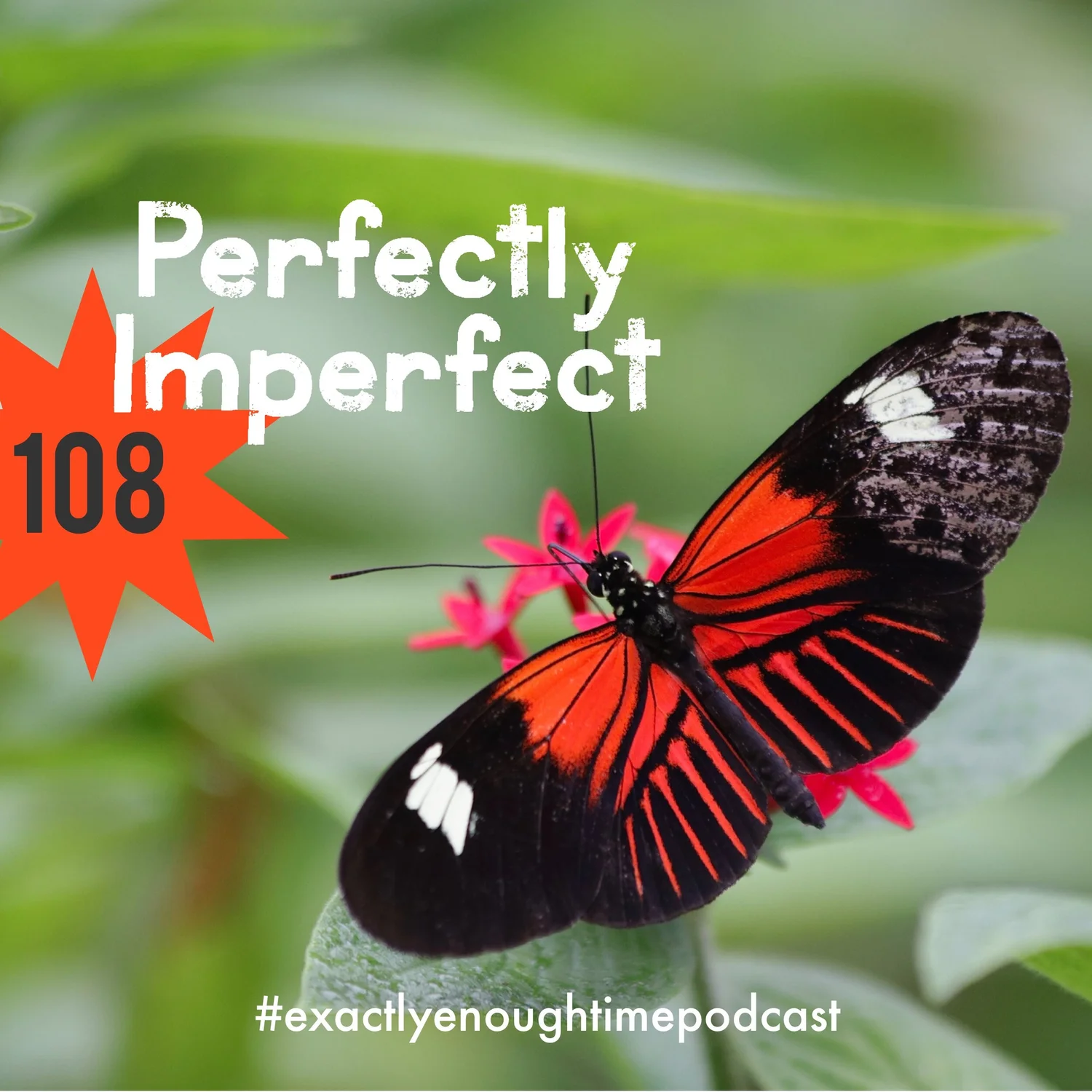Perfectly Imperfect episode artwork