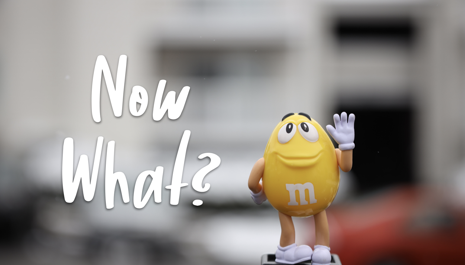 Photo by Ralston Smith on Unsplash