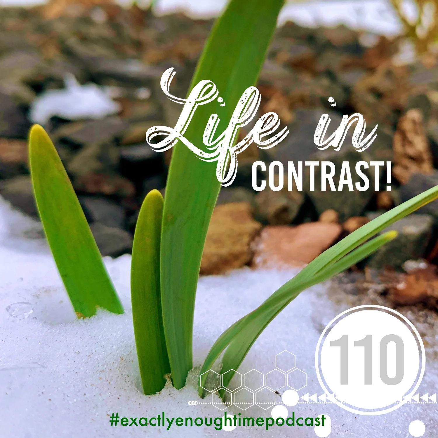Life in Contrast episode artwork