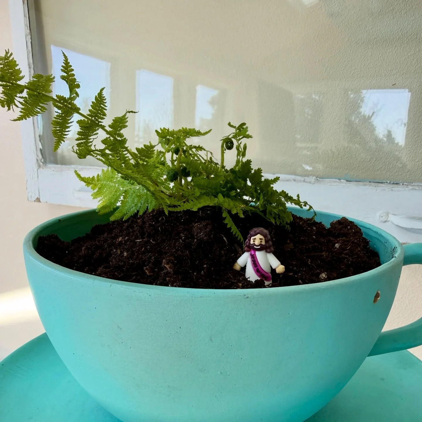 Got a new little fern for my turquoise teacup planter, but adverse conditions in the back of my car resulted in three broken fronds. After transplanting a noticed little Jesus and thought. "Why not?!" #jesushealsbrokenthings