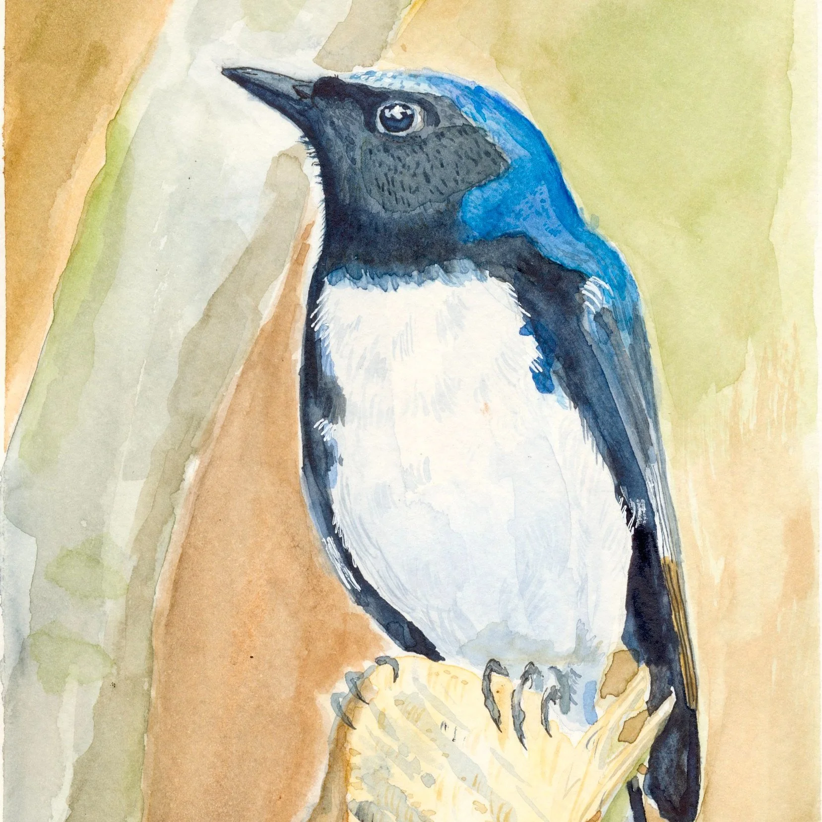 for the birds, presque isle birding season