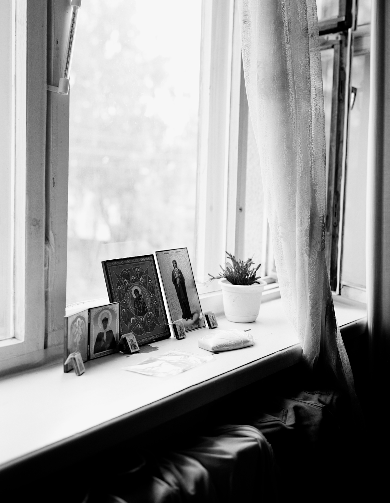 16Windowsill.jpg
