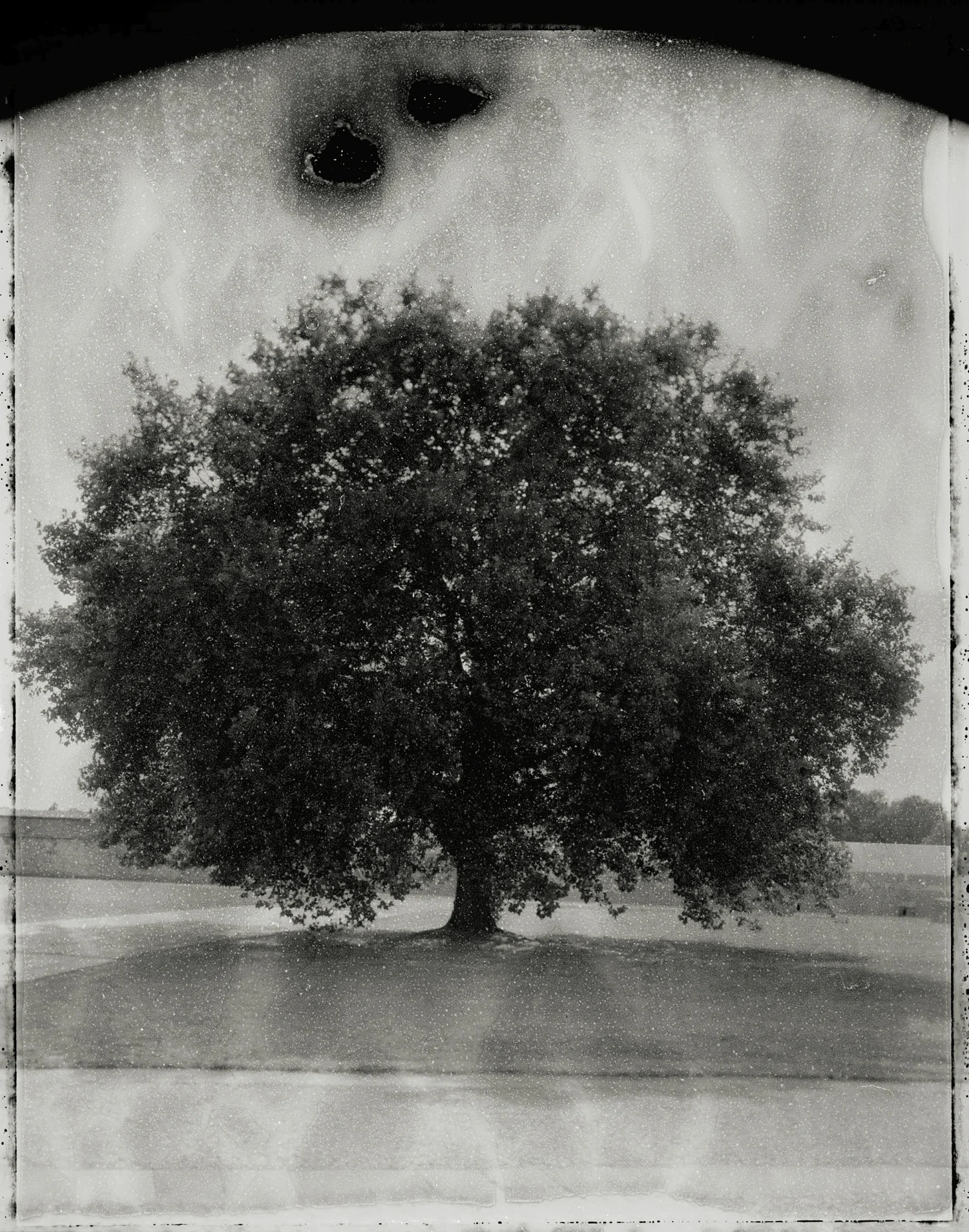 Panopticon05.jpg
