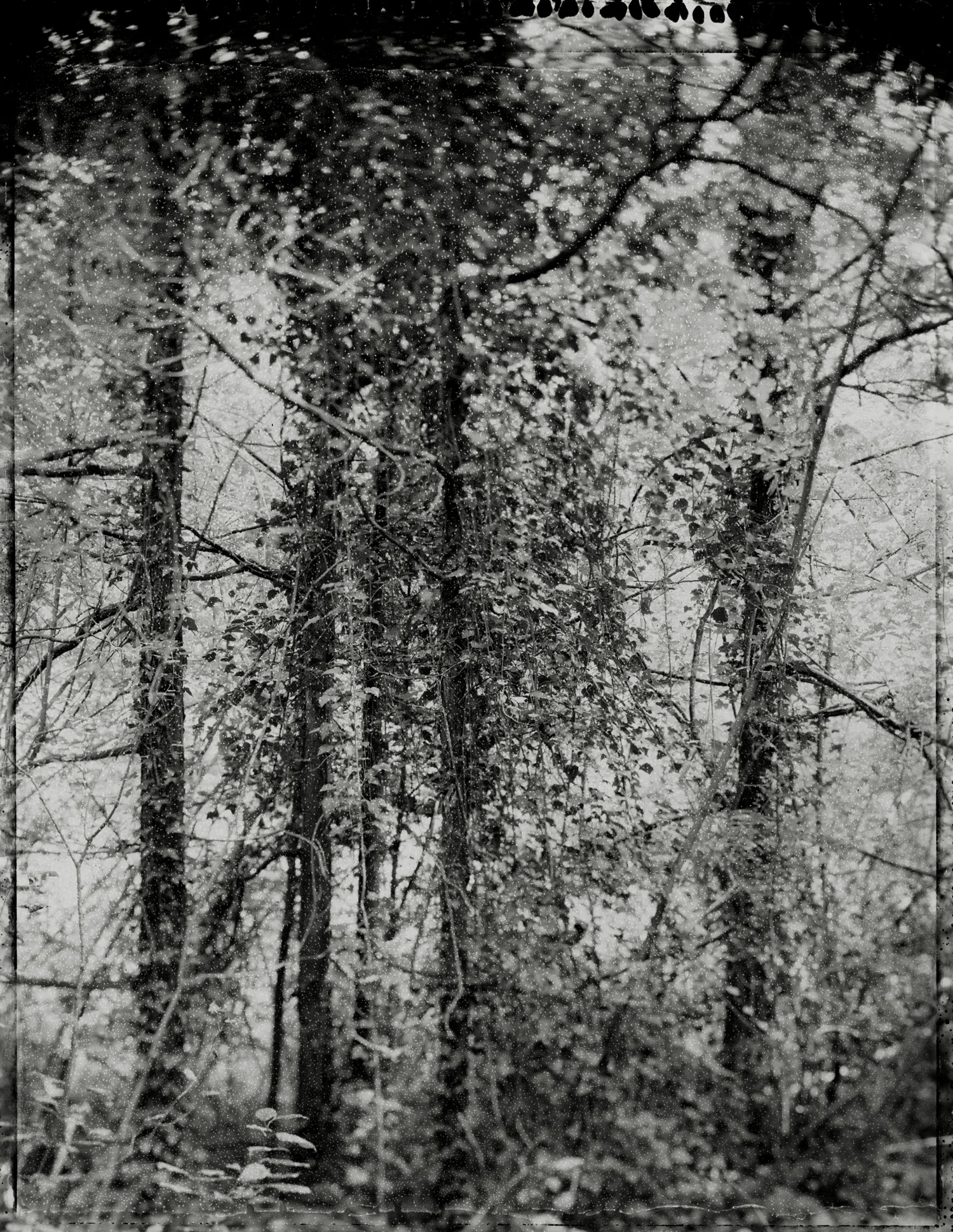 Panopticon09.jpg