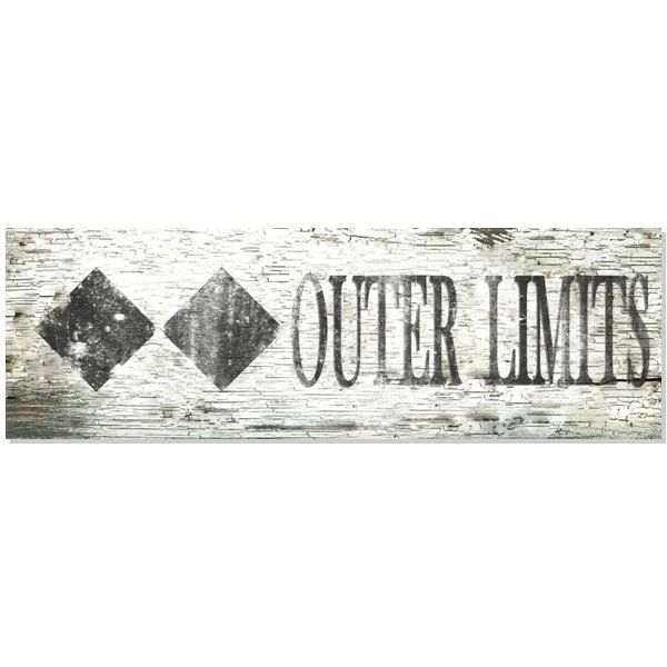 Double Black Diamond Ski Trail Sign with Black Text S338 — Paint the Town,  Inc.