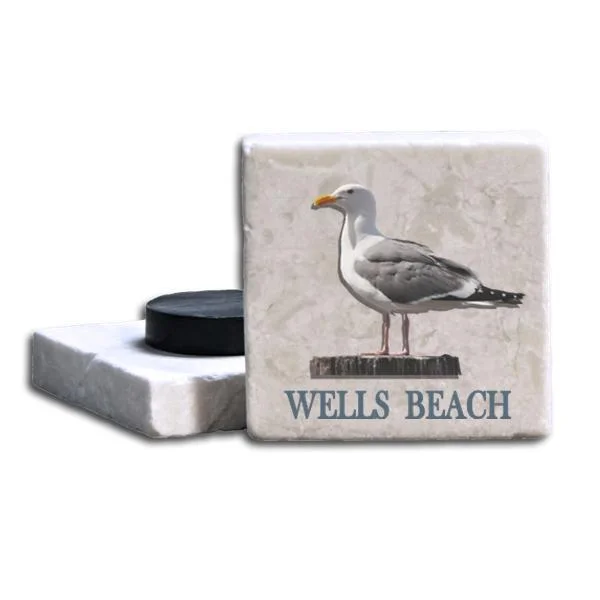 MM5 - Seagull.jpg