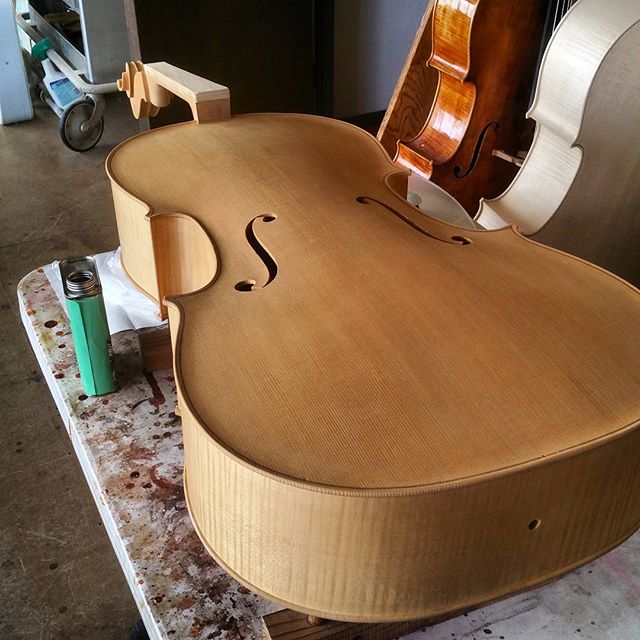 Cello Varnish.jpeg