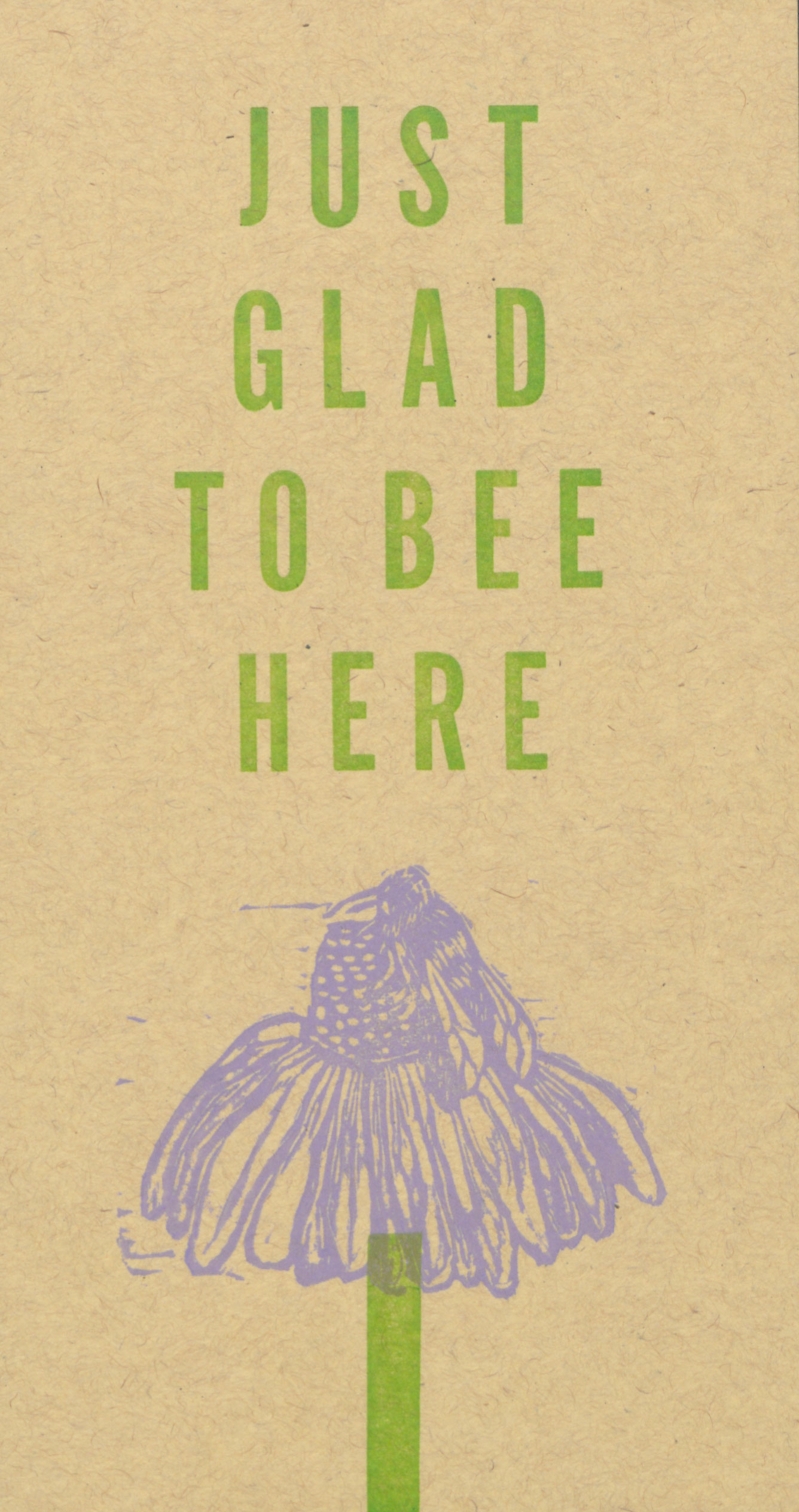 Glad to Bee Here