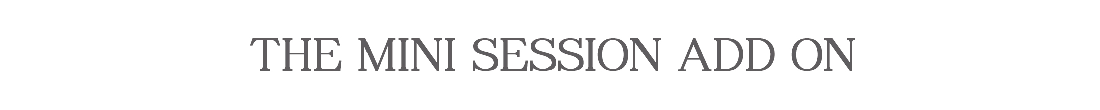 The mini session add on.jpg