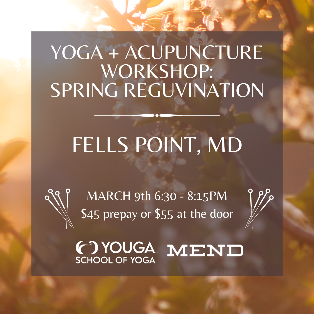 C9C6ECD7-72BC-4B83-9BC3-043AF6E81C00