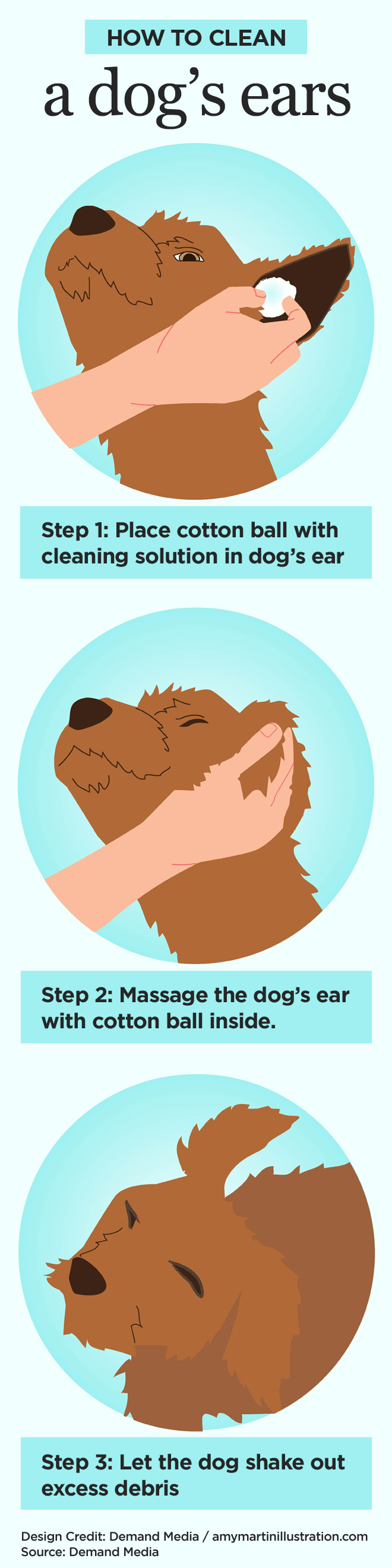 Learn How to Clean Your Dogs Ears — Dan's Pet Care
