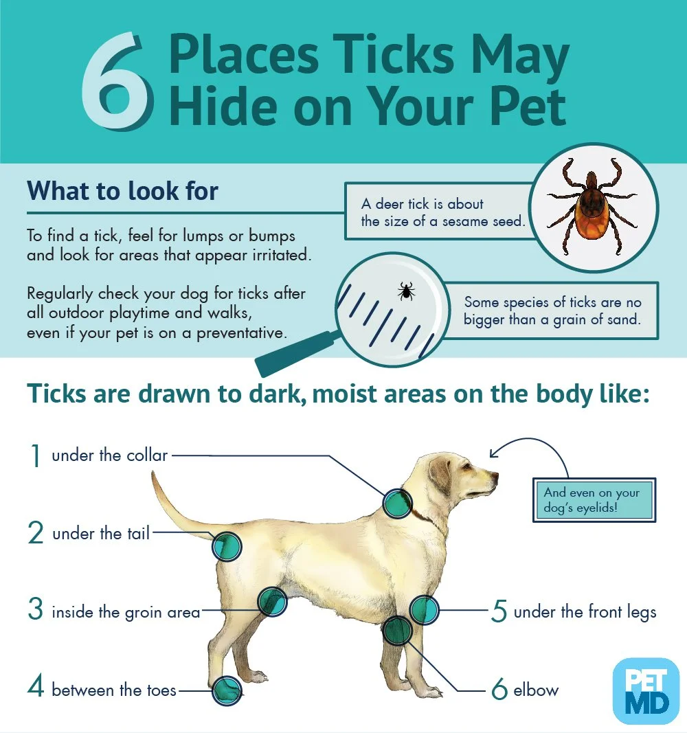 Above image is from PetMD