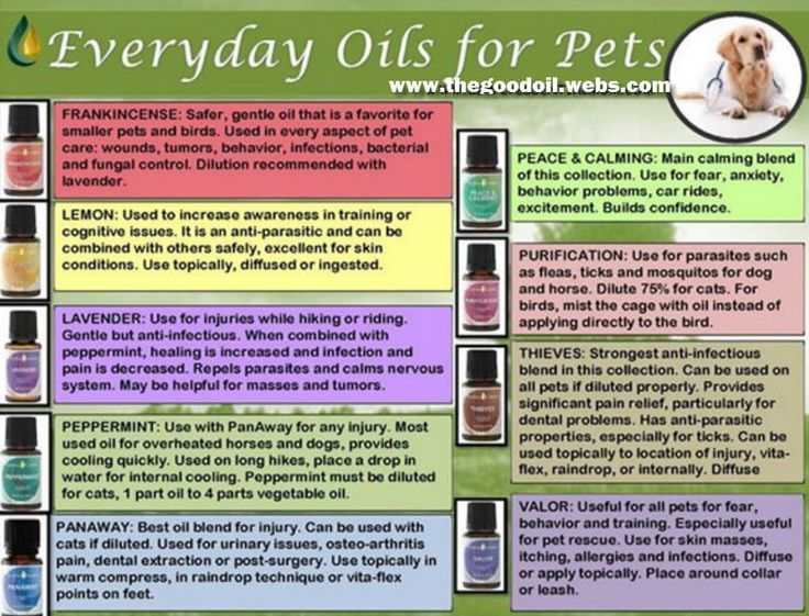  Source: The Good Oil