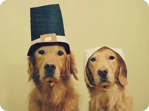 Photo credit: chubaandcompany.com