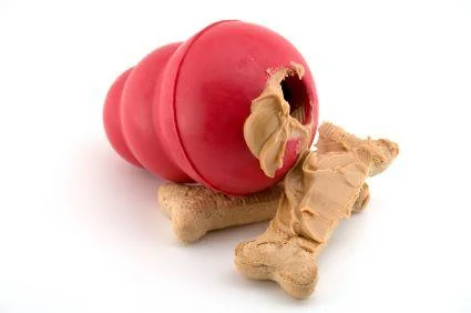  KONG toy with peanut butter treats